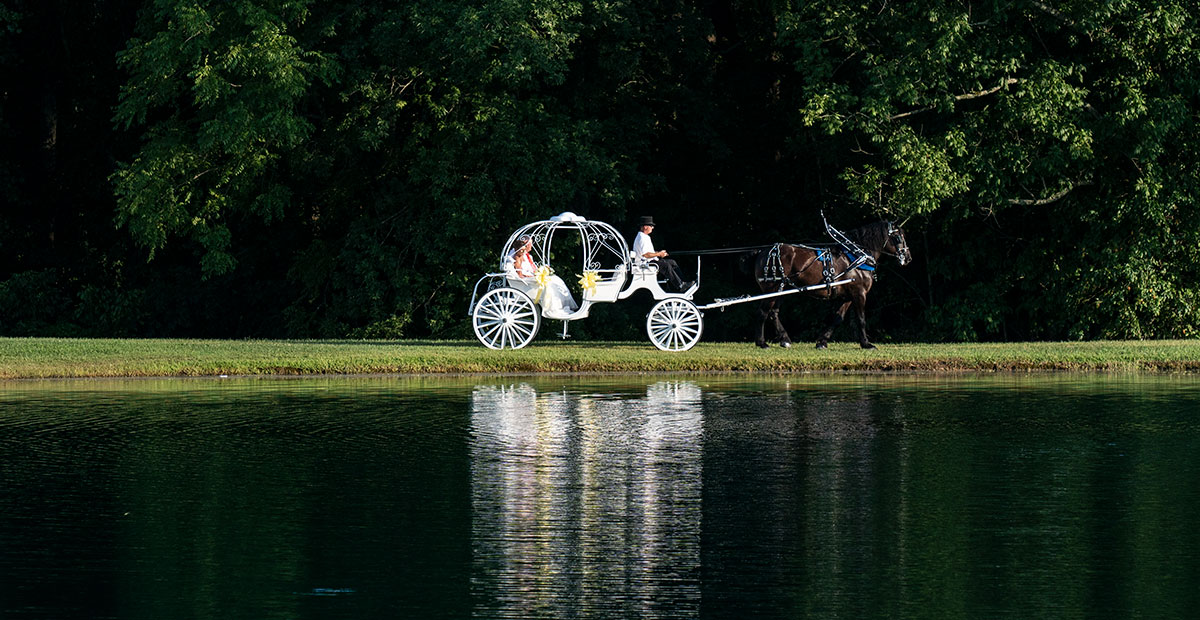 Carriage Reflections