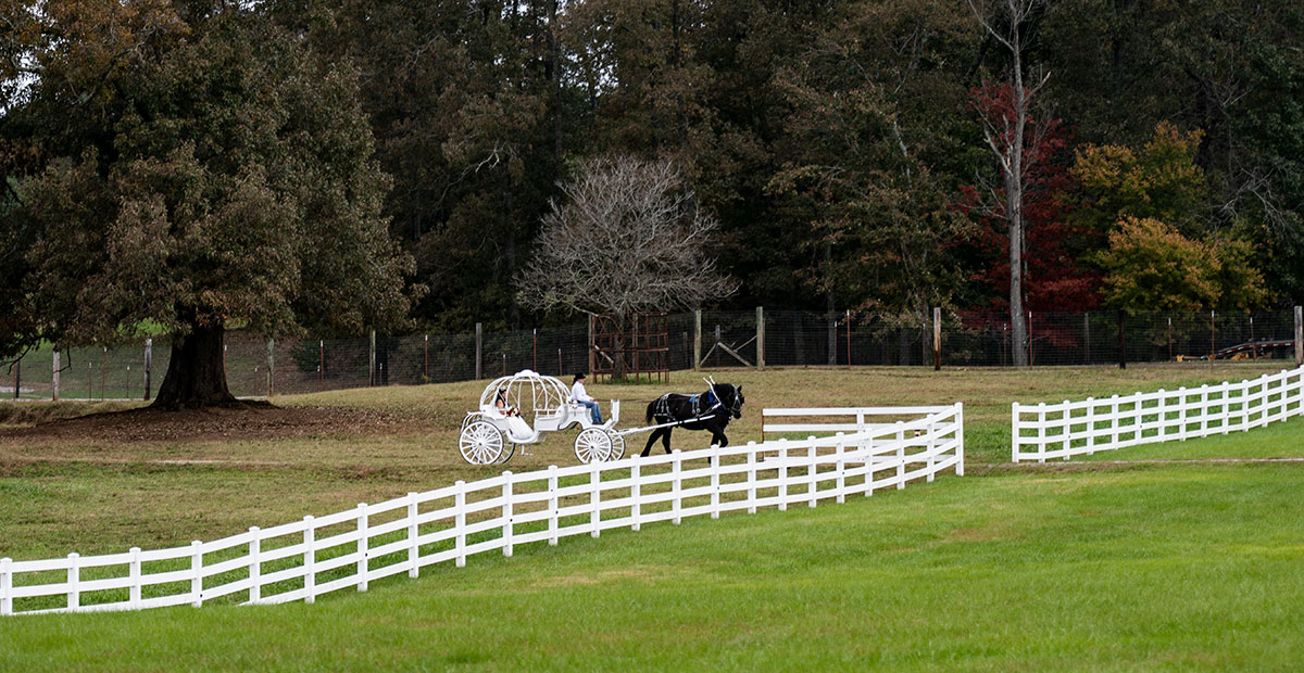 Cinderella in the Fall