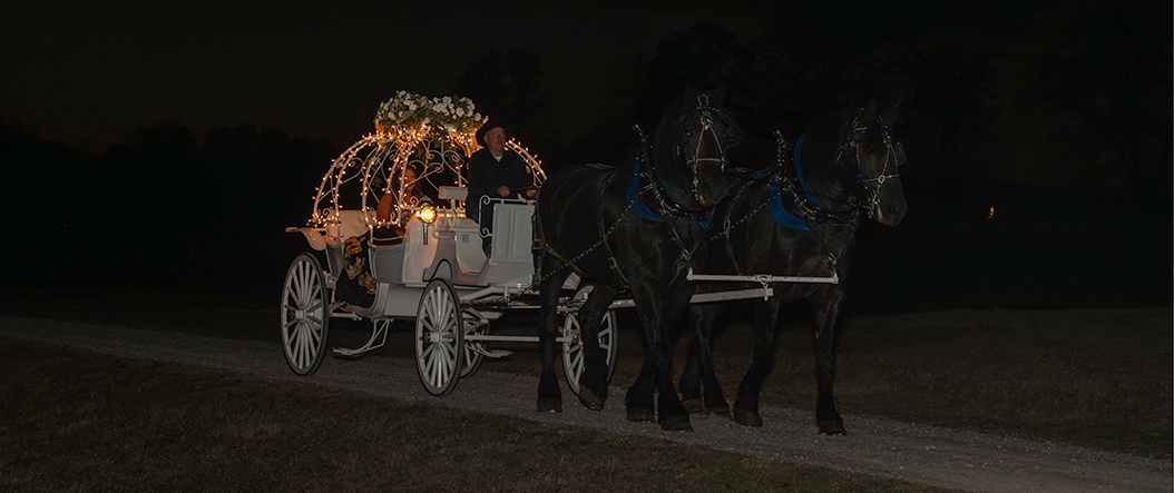 Carriage at night