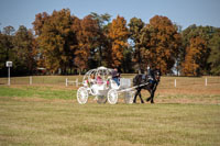 Dana & Terry's Wedding