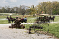 Guest arrived by carriage