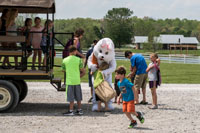 The Easter Bunny arrives & is well greated