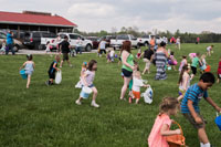 There were about seven seperate hunts spread across the farm, from toddlers to the seniors