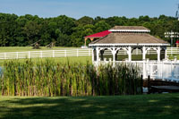 You'll find assorted backdrops across the Vinson Farm.