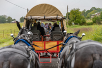 2022 Vinson Farm's Wagon Train