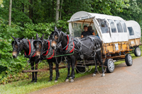 2022 Vinson Farm's Wagon Train