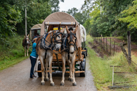 2022 Vinson Farm's Wagon Train