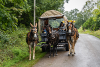 2022 Vinson Farm's Wagon Train