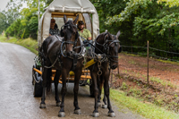 2022 Vinson Farm's Wagon Train