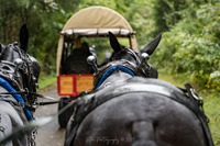 2022 Vinson Farm's Wagon Train