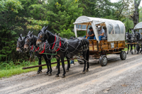 2022 Vinson Farm's Wagon Train