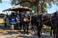 2024 Scottie Vinson Memorial Mule Train