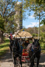 2024 Scottie Vinson Memorial Mule Train