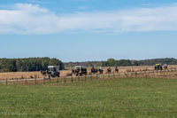 2024 Scottie Vinson Memorial Mule Train