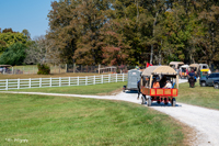 2024 Scottie Vinson Memorial Mule Train