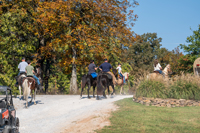 2024 Scottie Vinson Memorial Mule Train