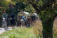 2024 Scottie Vinson Memorial Mule Train