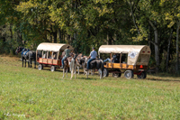 2024 Scottie Vinson Memorial Mule Train