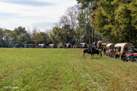 2024 Scottie Vinson Memorial Mule Train