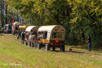 2024 Scottie Vinson Memorial Mule Train