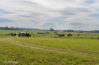 2024 Scottie Vinson Memorial Mule Train