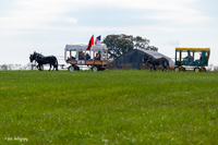 2024 Scottie Vinson Memorial Mule Train