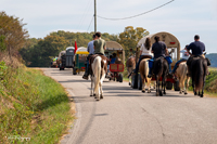 2024 Scottie Vinson Memorial Mule Train