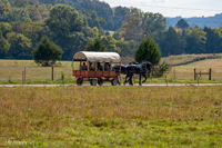 2024 Scottie Vinson Memorial Mule Train