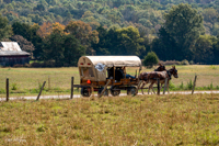 2024 Scottie Vinson Memorial Mule Train