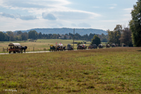 2024 Scottie Vinson Memorial Mule Train