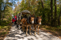 2024 Scottie Vinson Memorial Mule Train