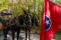 2024 Scottie Vinson Memorial Mule Train