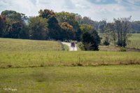 2024 Scottie Vinson Memorial Mule Train