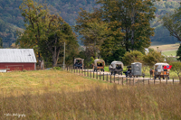 2024 Scottie Vinson Memorial Mule Train