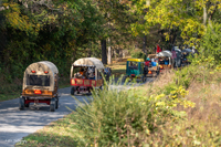 2024 Scottie Vinson Memorial Mule Train