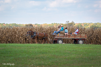 2024 Scottie Vinson Memorial Mule Train