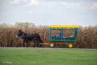 2024 Scottie Vinson Memorial Mule Train