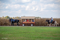 2024 Scottie Vinson Memorial Mule Train