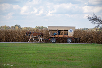2024 Scottie Vinson Memorial Mule Train