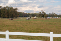 2024 Scottie Vinson Memorial Mule Train