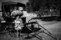 Terry & Dana ~ October 23rd, 2016 ~ Hat Creek Photography © 2016